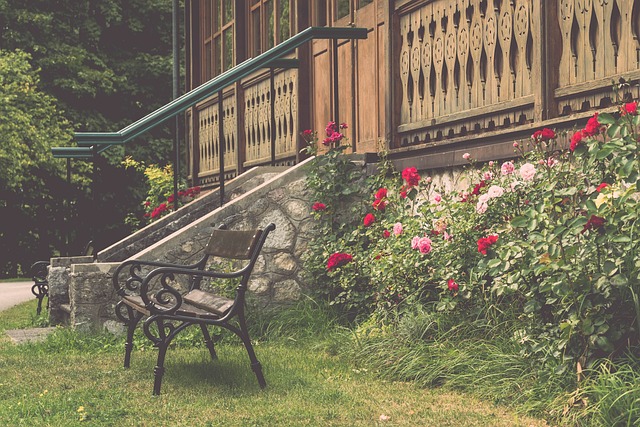 球队会在接 球队会在接